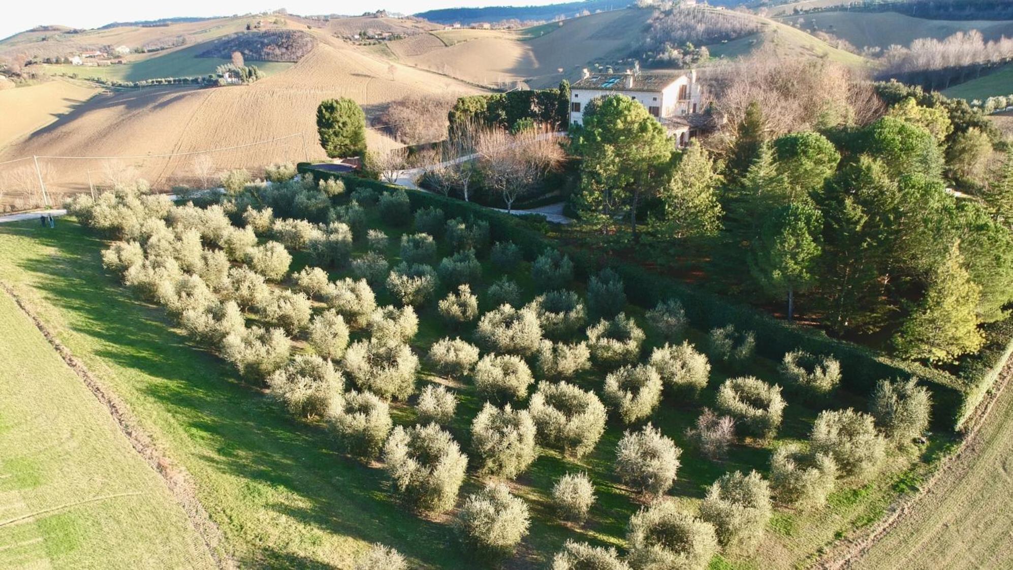 Monterosato Country House Ponzano di Fermo Dış mekan fotoğraf