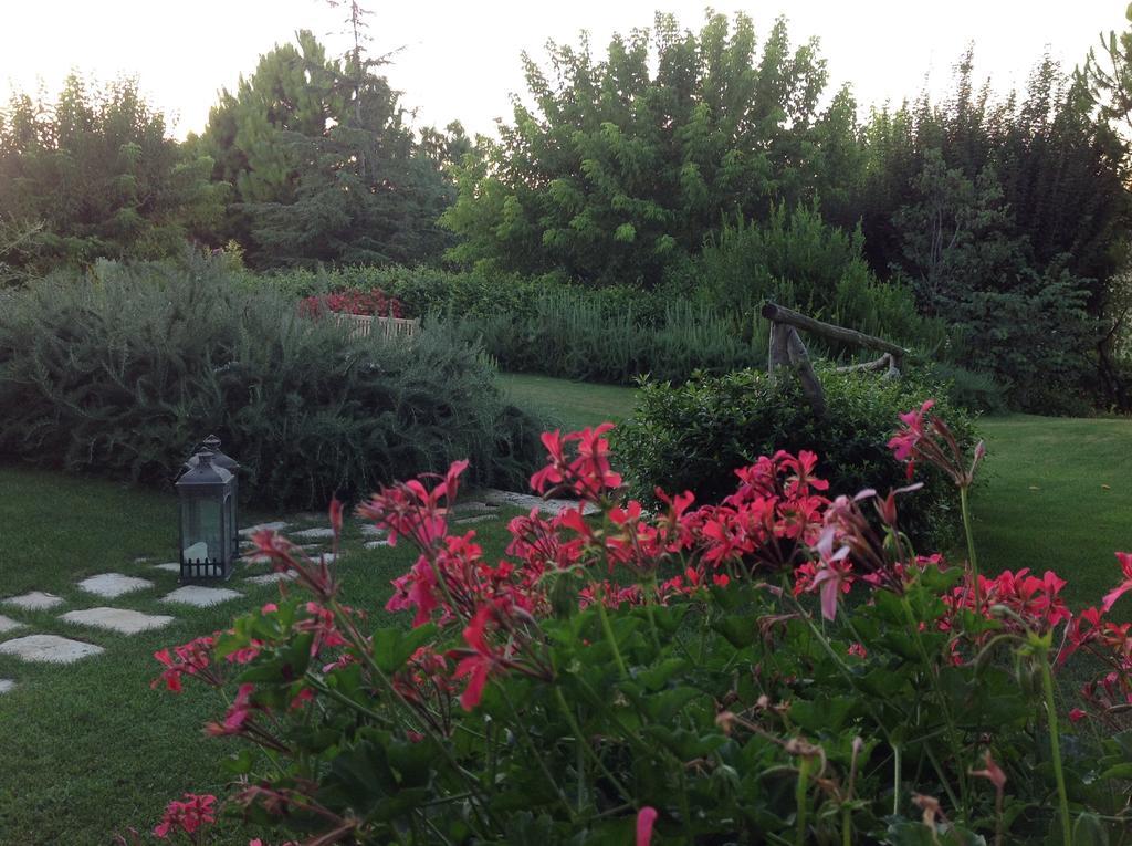 Monterosato Country House Ponzano di Fermo Dış mekan fotoğraf